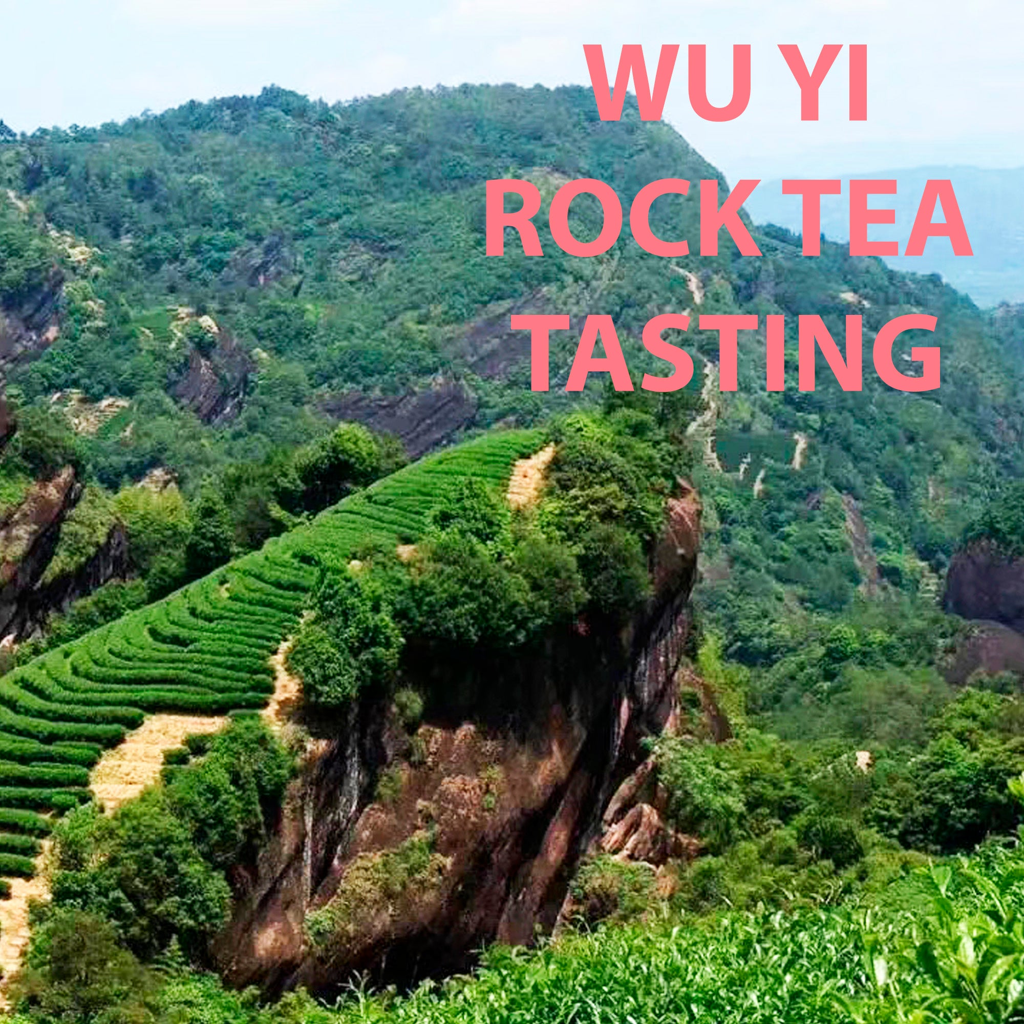 Wu Yi Rock Tea Tasting - Friday 3rd March at 15:30-17:30