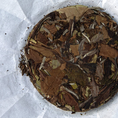 Old-Growth-Wild White Teas - Shou Mei (2025 Harvested)