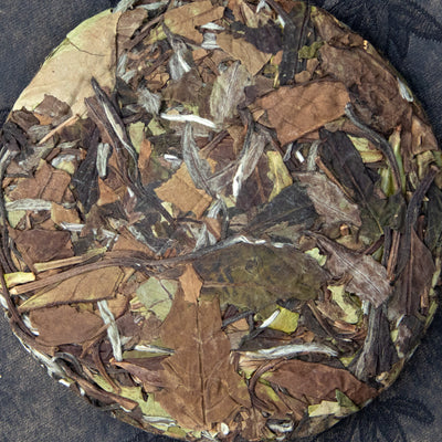 Old-Growth-Wild White Teas - Shou Mei (2025 Harvested)