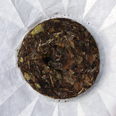 Old-Growth-Wild White Teas - Shou Mei (2025 Harvested)