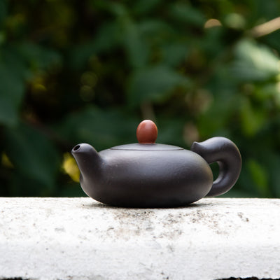 "Squirrel" Black Clay Yixing Teapot 120ml