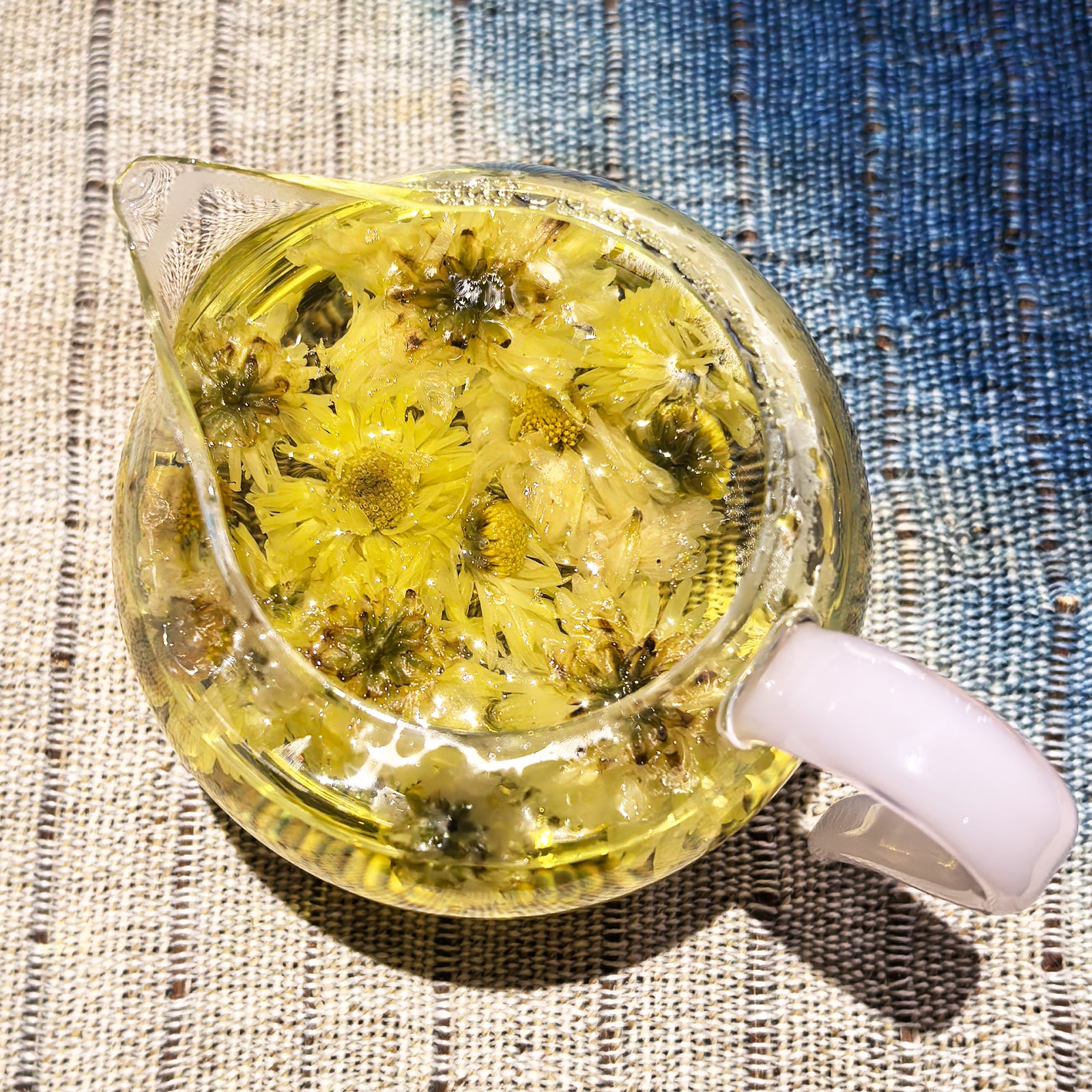 Chrysanthemum Flowers