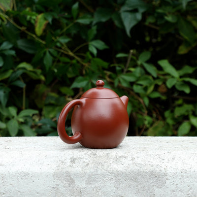 Dragon Egg Yixing Teapot 200ML