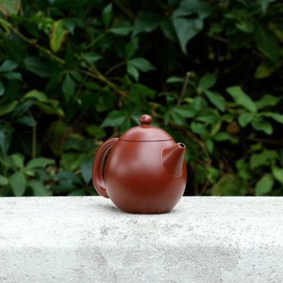 Dragon Egg Yixing Teapot 200ML