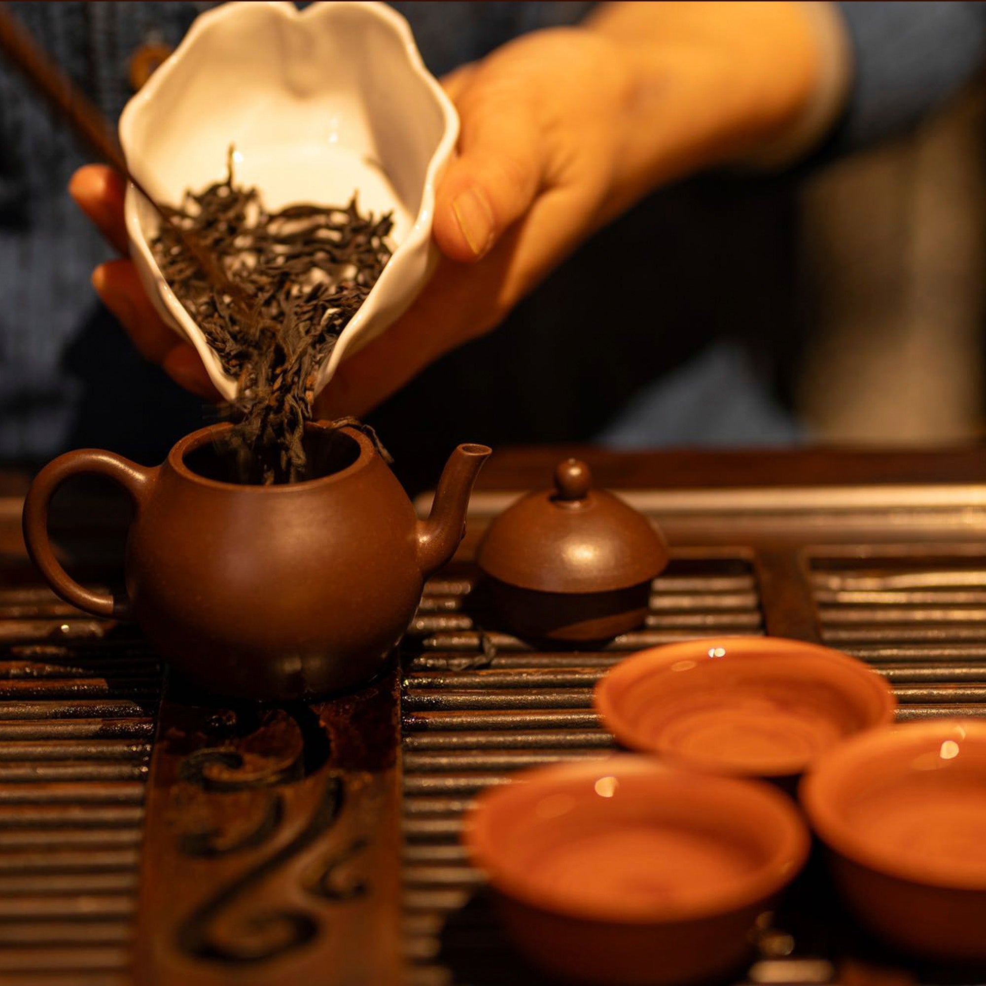 Private Gong Fu Tea Tasting Ceremony