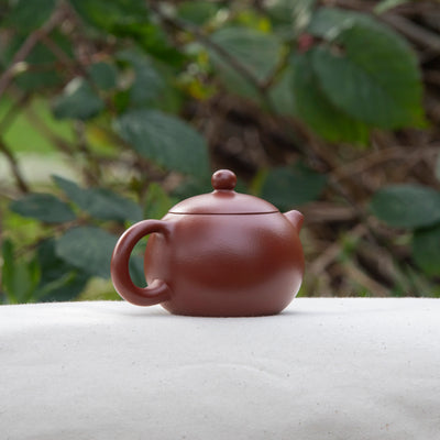 Little XiShi Yixing Teapot 130ML