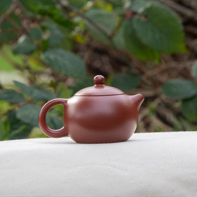 Little XiShi Yixing Teapot 130ML