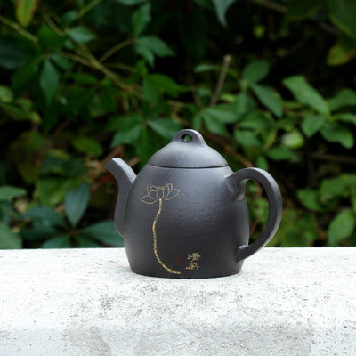 Black Beauty Black Clay Yixing Teapot