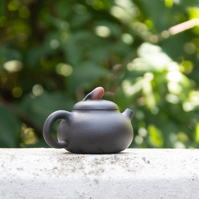 Red Bean Black Clay Yixing Teapot 120ml