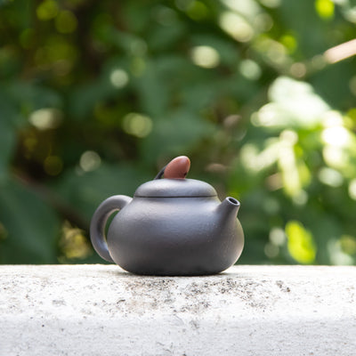 Red Bean Black Clay Yixing Teapot 120ml