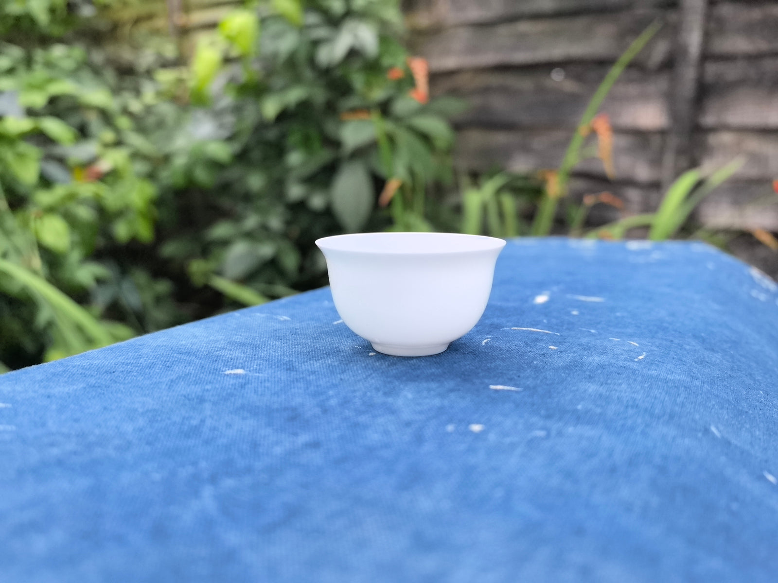Bone Porcelain Tea Cup 30ml