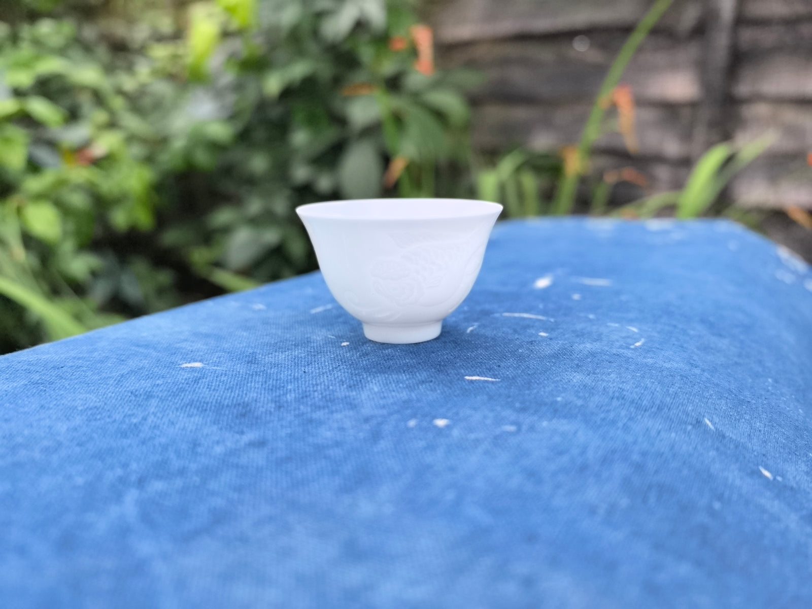 Bone Porcelain Tea Cup 25ml with Fish