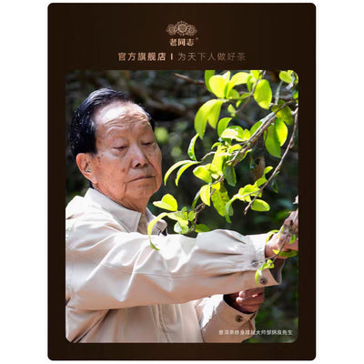 Special Tasting: "Lao Tong Zi" Shu Puer Teas, Sunday 8th September at 2PM - 4PM