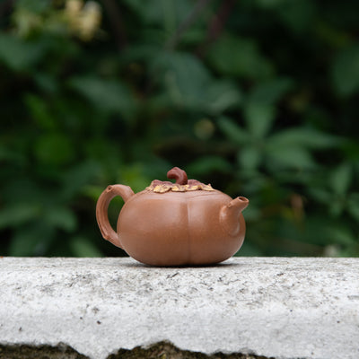 "Little Pumpkin" Style Yi Xing Teapot