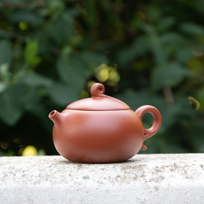 "Nian Nian You Yu" Style Yixing Teapot 320ml