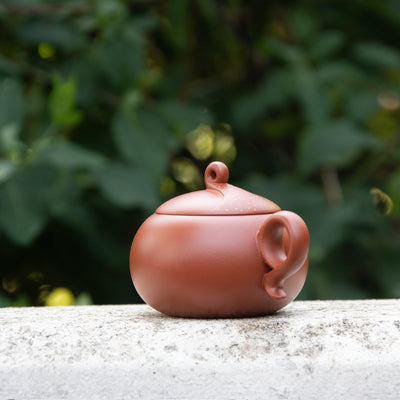 "Nian Nian You Yu" Style Yixing Teapot 320ml