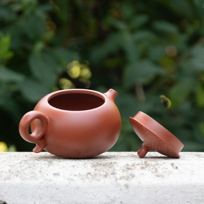 "Nian Nian You Yu" Style Yixing Teapot 320ml