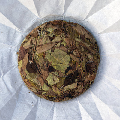 Nine Peaks Shou Mei White Tea (2025 Spring)