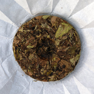 Nine Peaks Shou Mei White Tea (2025 Spring)
