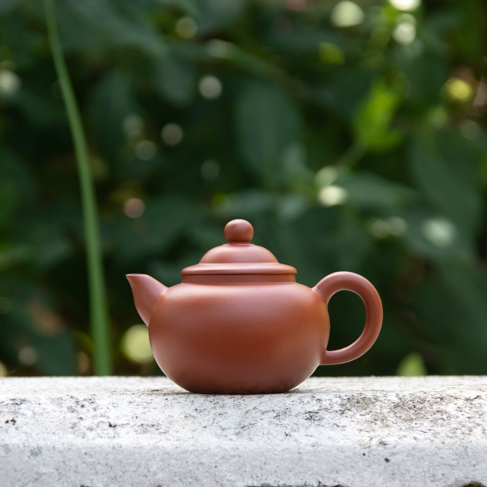 "Ready to bloom" Yixing Teapot 150ML