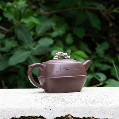 "Chinese Garden Inspired" Style Yixing Teapot