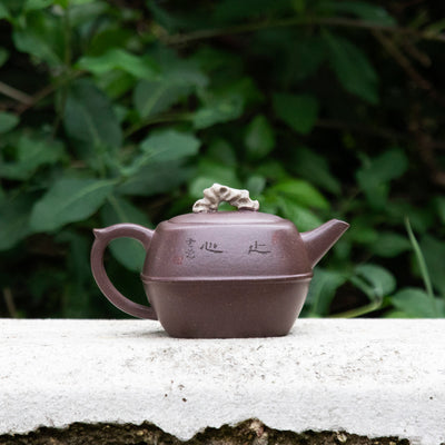 "Chinese Garden Inspired" Style Yixing Teapot