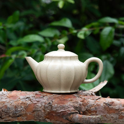 "Vien Pattern Shui Ping" Yixing Teapot 250ML