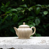 "Vien Pattern Shui Ping" Yixing Teapot 250ML