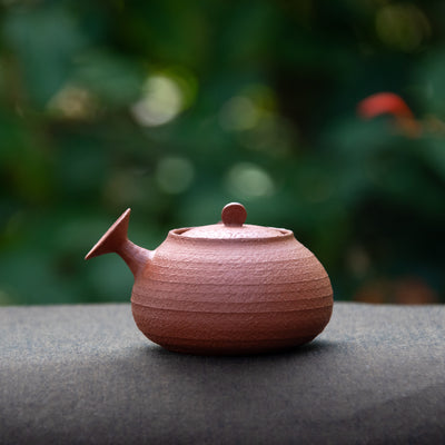 "Side Handle" Chaozhou Teapot 120ml