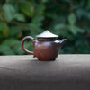 Wood-fired "Swordsman" Chaozhou Teapot 100ml