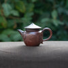 Wood-fired "Swordsman" Chaozhou Teapot 100ml