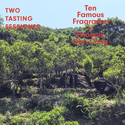 Two Tasting Sessions: Discovering the Ten Famous Fragrance of Phoenix Dan Cong