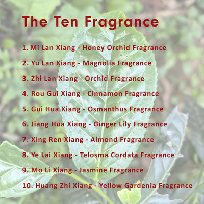 Two Tasting Sessions: Discovering the Ten Famous Fragrance of Phoenix Dan Cong