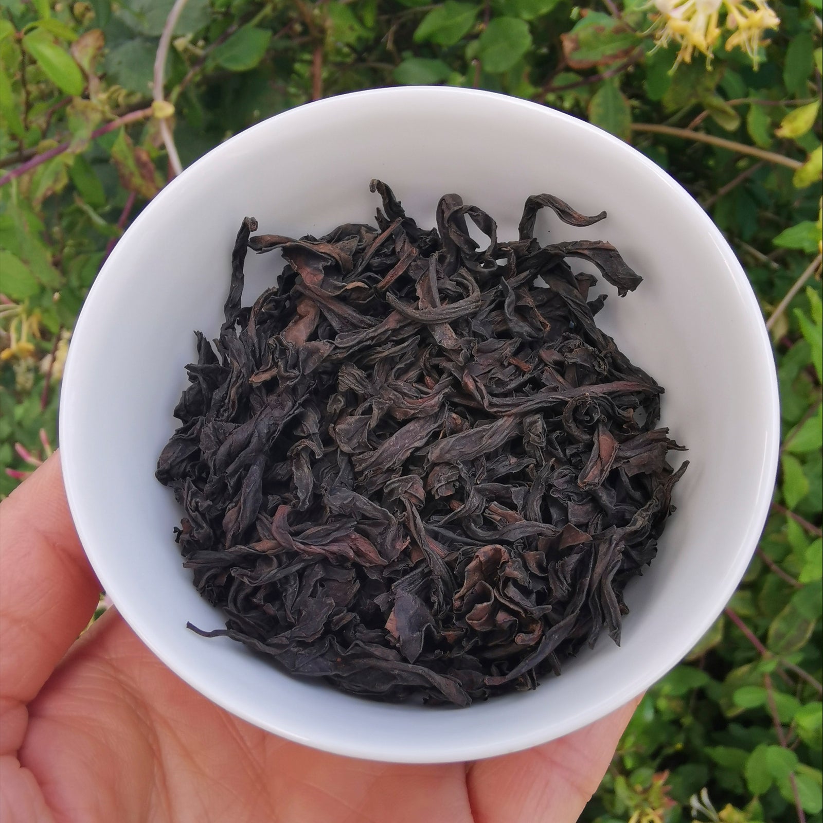 Tie Luo Han or Iron Arhat