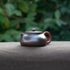 Wood-fired "Shi Piao" Chaozhou Teapot 100ml