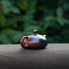 Wood-fired "Xi Shi" Chaozhou Teapot 90ml