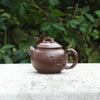 "Seeking Plum Blossoms" Style Yixing Teapot 70ml