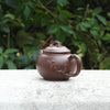 "Seeking Plum Blossoms" Style Yixing Teapot 70ml