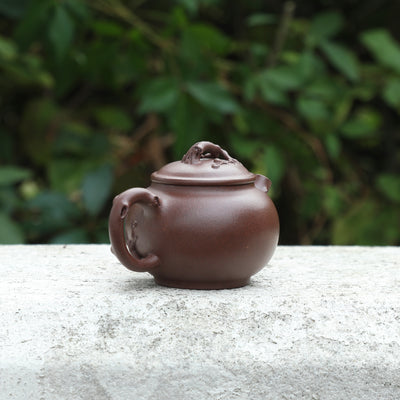 "Seeking Plum Blossoms" Style Yixing Teapot 70ml