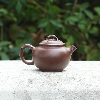 "Seeking Plum Blossoms" Style Yixing Teapot 70ml