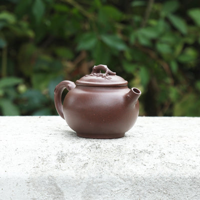 "Seeking Plum Blossoms" Style Yixing Teapot 70ml