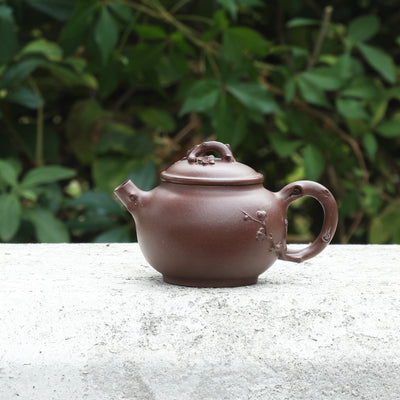 "Seeking Plum Blossoms" Style Yixing Teapot 70ml