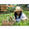 WHITE TEA TASTING - Friday 26TH JULY 4PM - 6PM