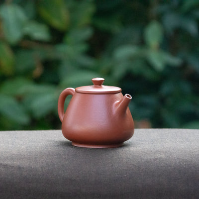 Workshop Made Chaozhou Pot (C)