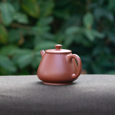 Workshop Made Chaozhou Pot (C)