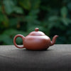Chaozhou Teapot (D)