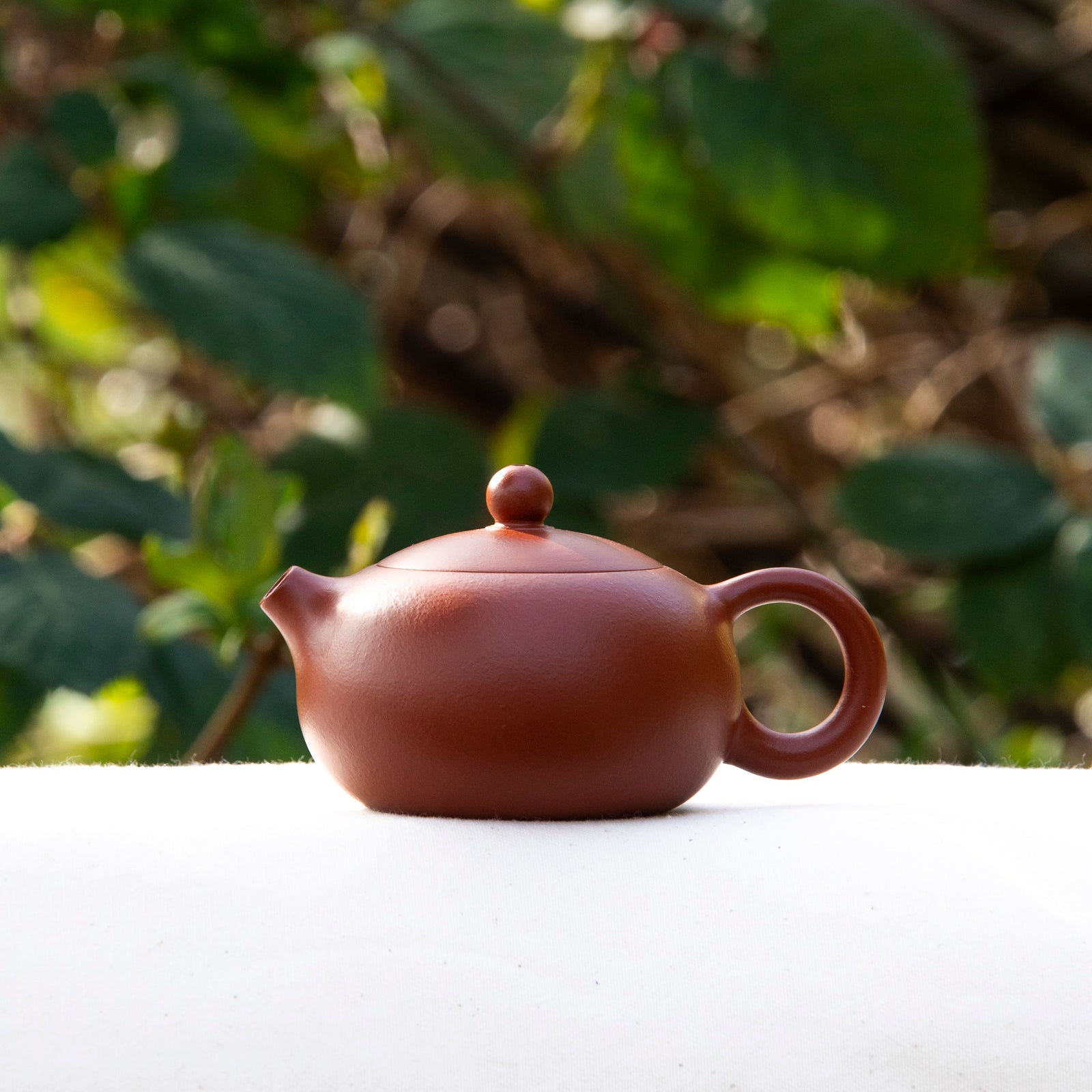 "Xi Shi" Chaozhou Teapot 120ml