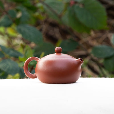 "Xi Shi" Chaozhou Teapot 120ml