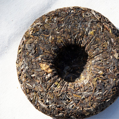 SHENG PUER - 2024 Hidden Valley Wild Ancient Trees