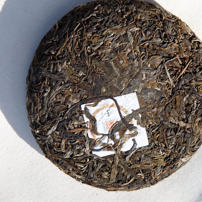 SHENG PUER - 2024 Hidden Valley Wild Ancient Trees